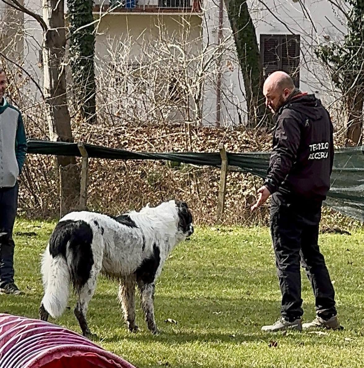 Momento da una docenza Questione di Naso 01